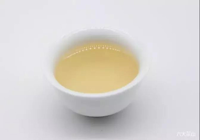 六大茶山六山春尖普洱茶