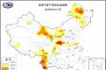 遭遇10年最严重旱情，云南普洱茶、咖啡等怎么扛过难关？