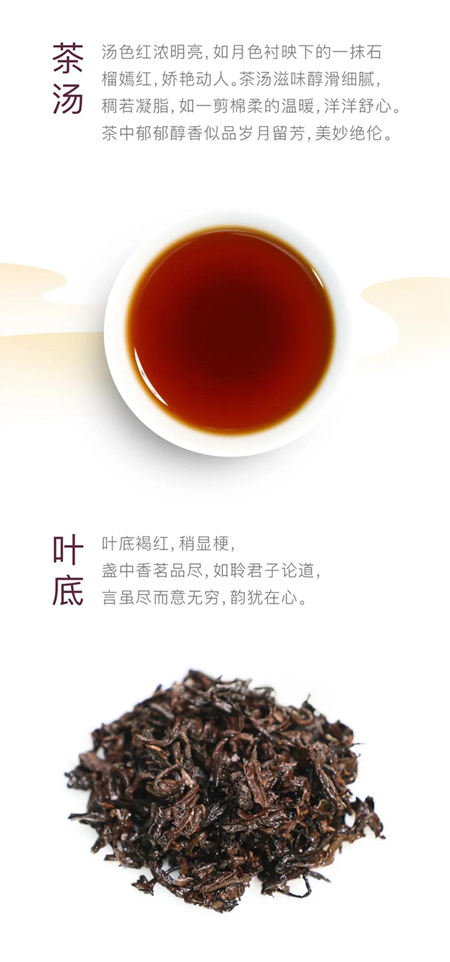 大益茶普知味生熟茶上市