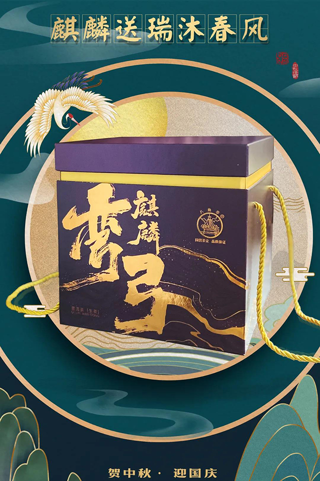 易武山高端普洱弯弓古树春茶