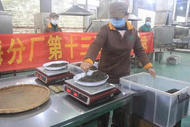 六大茶山普洱茶制作步骤