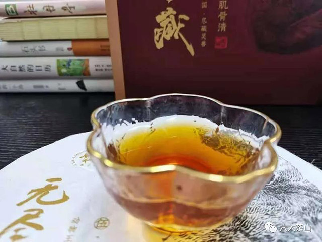 六大茶山无尽藏普洱茶品鉴