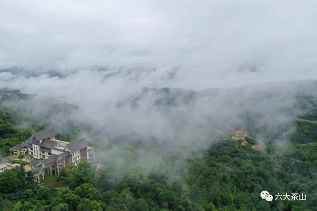 六大茶山普洱茶标准仓