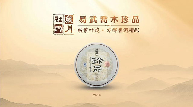 岁月知味易武茶