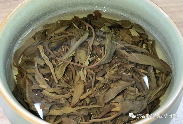 大滇号至柔普洱茶