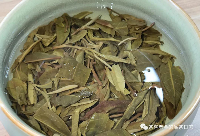 茶人壹树叶沧江御茗普洱茶