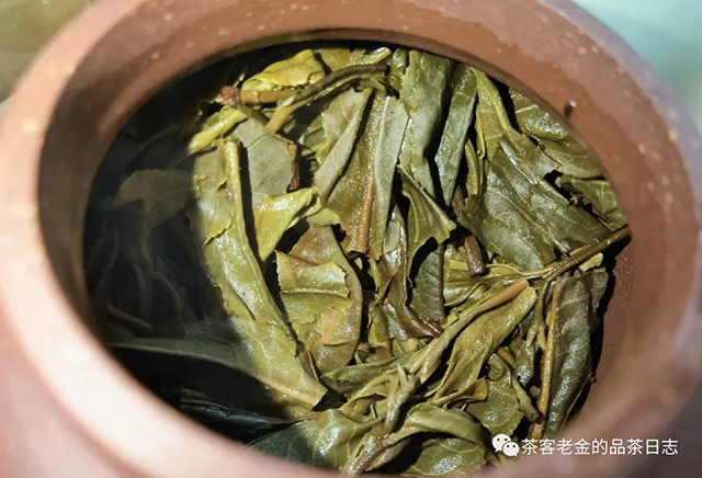 茶人壹树叶沧江御茗普洱茶