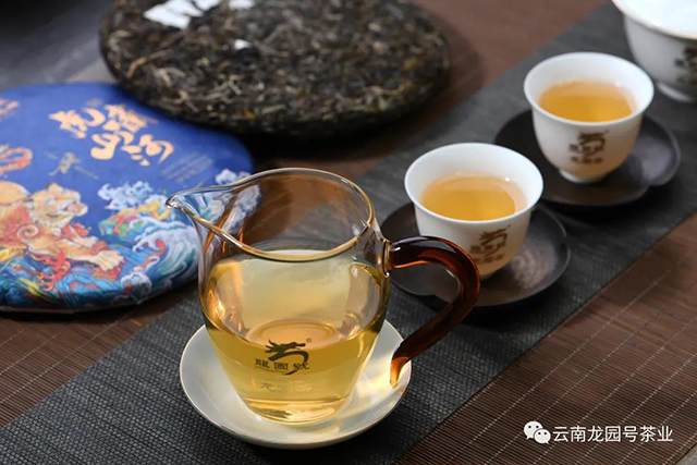 龙园号虎啸山河普洱茶云岭杯名茶评比荣获金奖