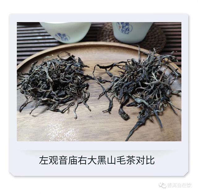 懿说微茶山倚邦茶山