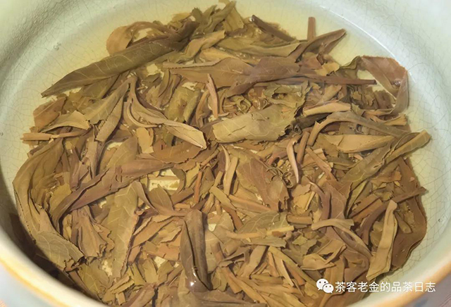 流星赶月老曼峨古树茶普洱茶