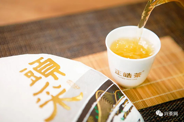 正皓茶2022头采普洱茶