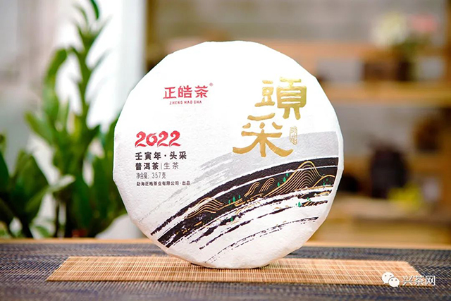 正皓茶2022头采普洱茶