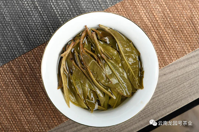 龙园号龙园七子饼普洱茶