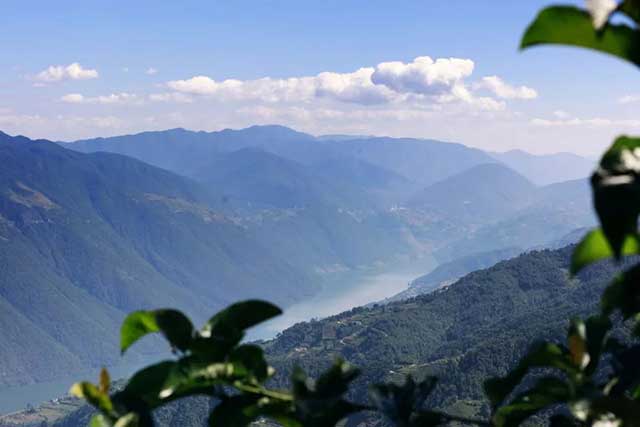 龙润茶古韵陈茶2013年陈香熟饼