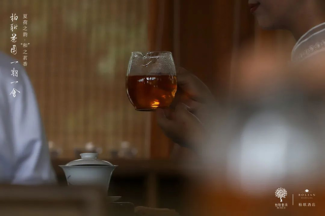 记柏联集团夏荷之韵和之茗香茶会