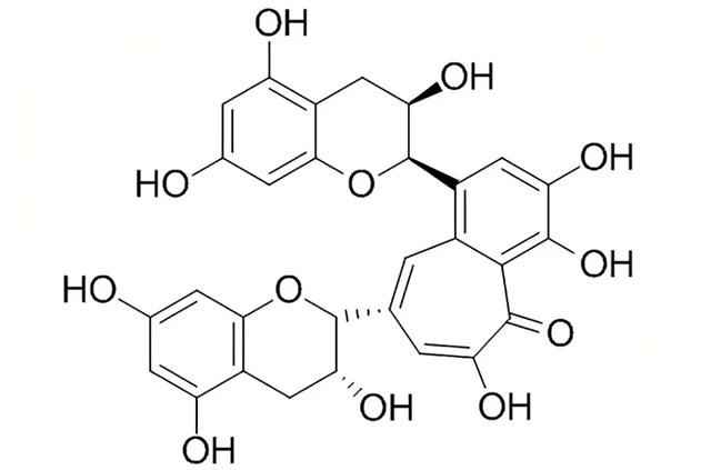 大益茶