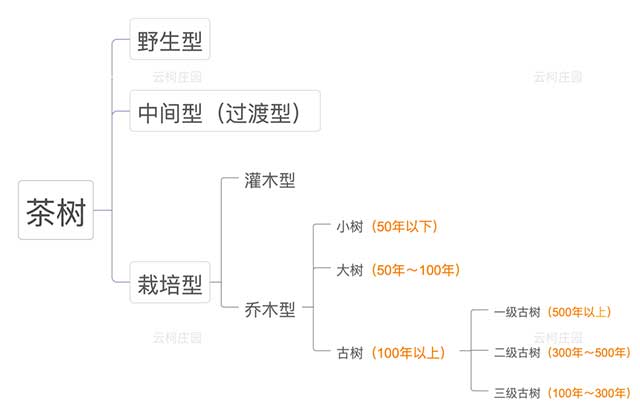 茶山分级思维导图