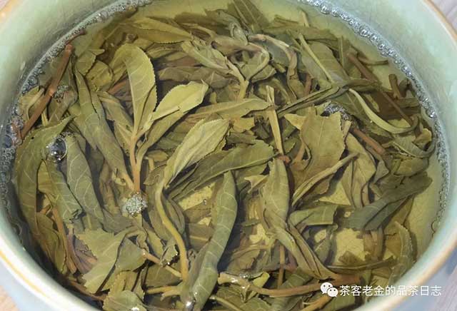 公主茶铺2023年春风十里藤条古树茶普洱茶