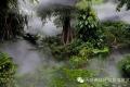 雨水茶饮养生指南