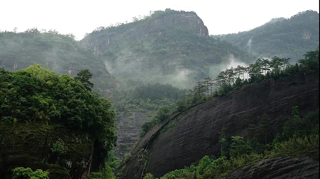 寻找中华茶人榜样新锐茶人王昇