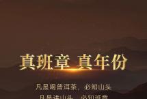 双陈普洱：行业首款纯料老班章，登场！