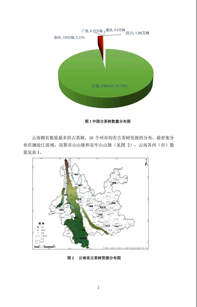 中国古茶树资源