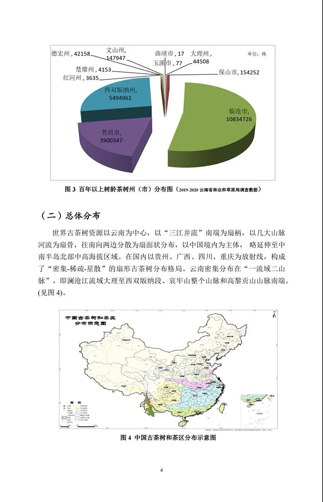 中国古茶树资源