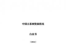 【聚焦】中国古茶树资源状况如何？云南最多，贵州、广西、四川其次