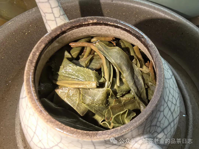 栩月古茶2024年小众山头1号普洱茶品质特点