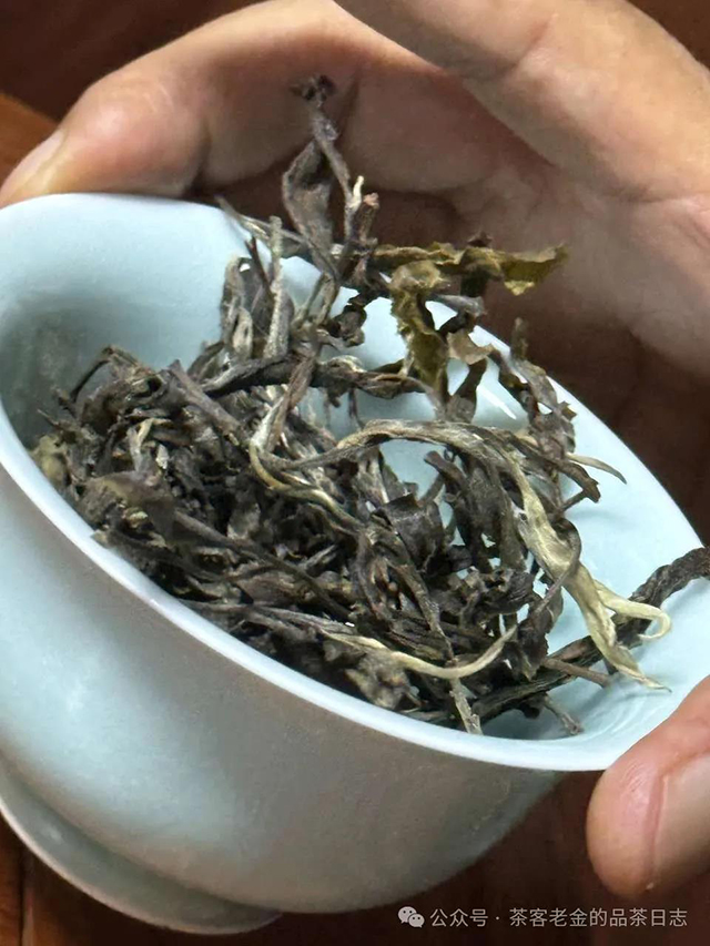 茶客老金小树茶会