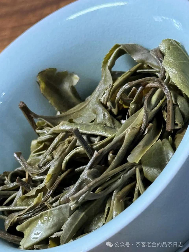 茶客老金小树茶会