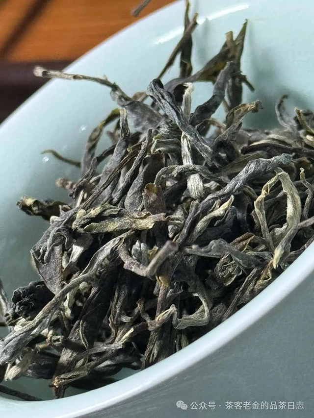 茶客老金小树茶会