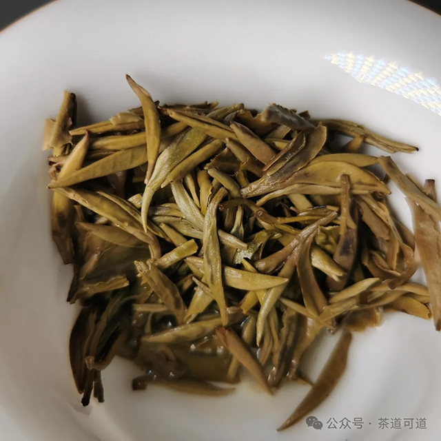 2023张一元龙毫茉莉花茶品质特点