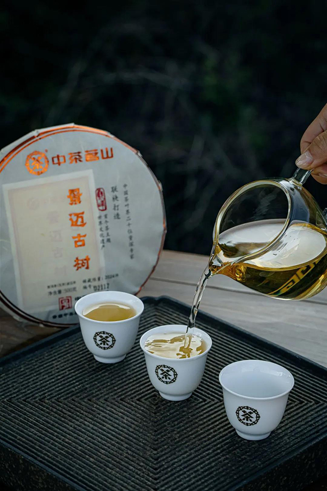 中茶景迈古树普洱茶