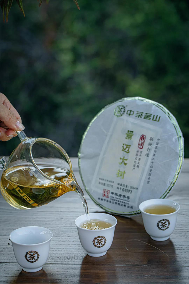 中茶景迈大树普洱茶