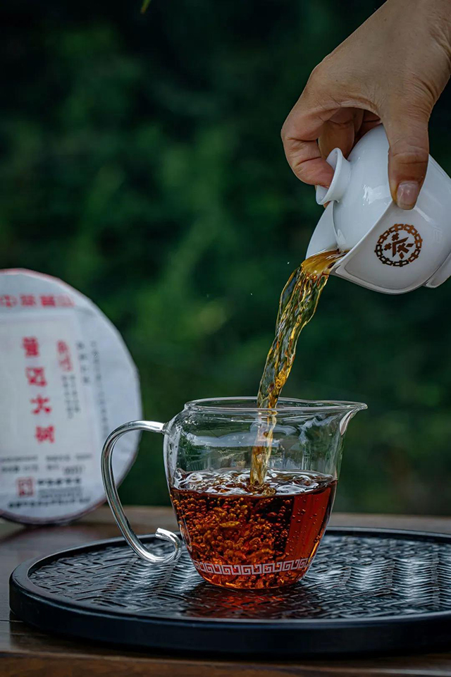 中茶景迈大树普洱茶