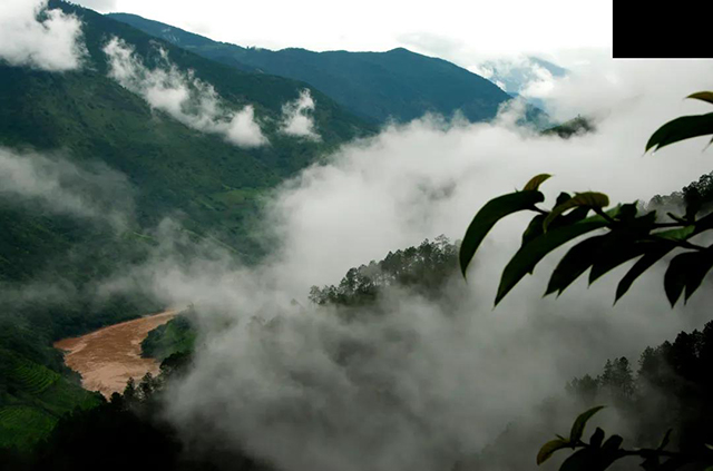 六大茶山