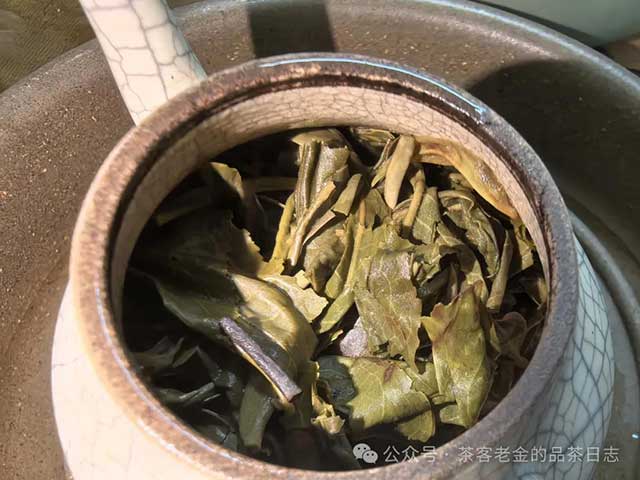 苦行茶僧2024年罂粟普洱茶品质特点