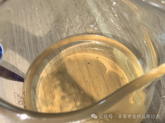 吾茶共饮2024年高杆普洱茶