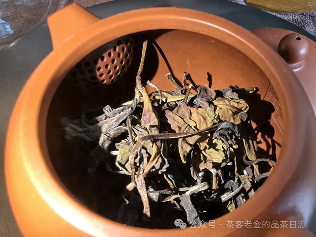 旺其火气黄山老白茶品质特点