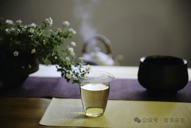 普洱茶冲泡