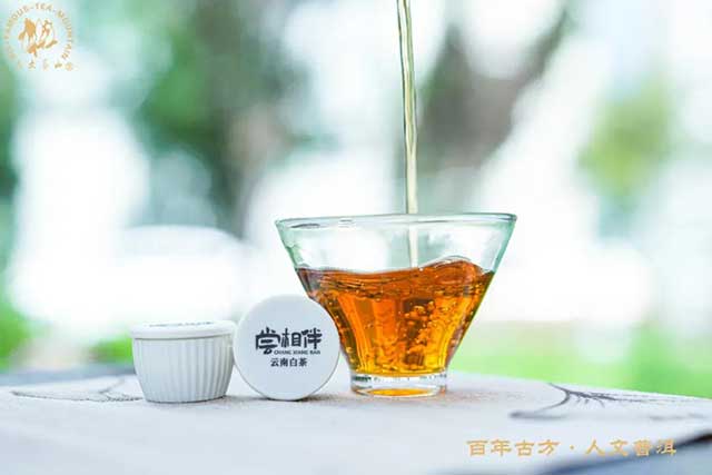 六大茶山茶饮本味