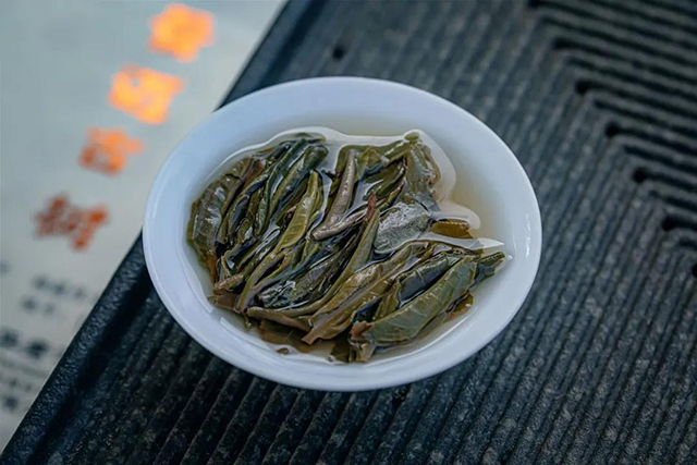 中茶景迈古树小饼时代普洱茶