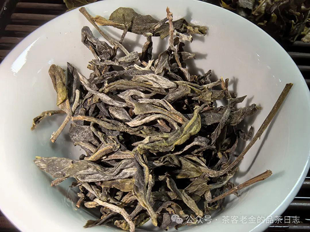 小树茶对冲茶会