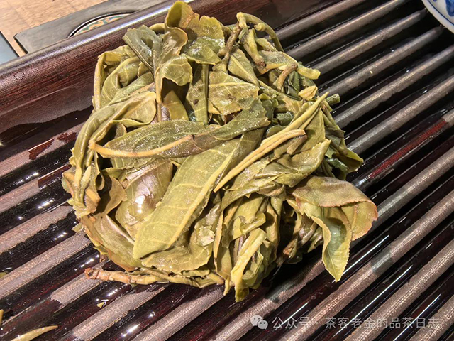 小树茶对冲茶会