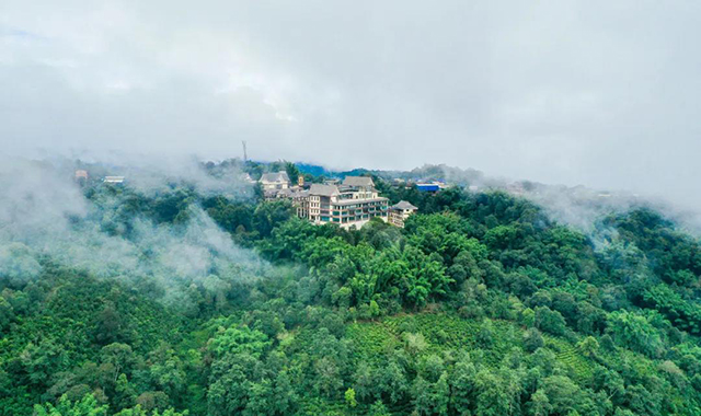 六大茶山