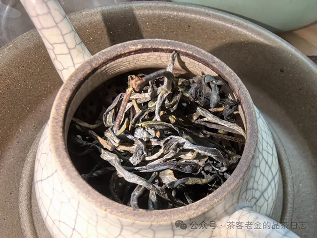 吾茶共饮2024年百茶园普洱茶品质特点