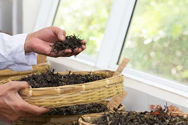 津乔普洱敬山15载普洱茶