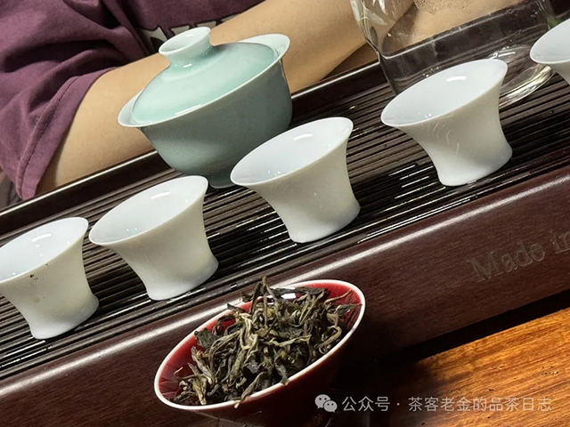 小树茶对冲茶会