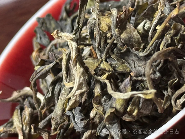 小树茶对冲茶会